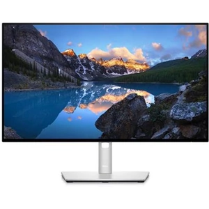 DELL UltraSharp 24 Monitor U2422H 60.5 cm (23.8") 1920 x 1080 pixels Full HD LCD 8 ms Silver