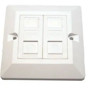 Generic Network Point Faceplate - Double Port