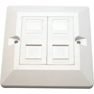 Generic Network Point Faceplate - Dual Port