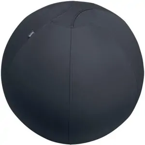 Leitz Active Sitzball 55cm Grey Indoor Spheric