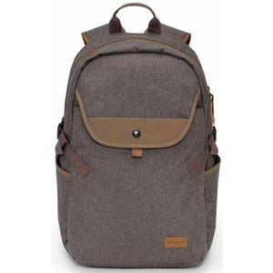 SANDSTROM S15BPBN20 15.6 Laptop Backpack - Brown, Brown